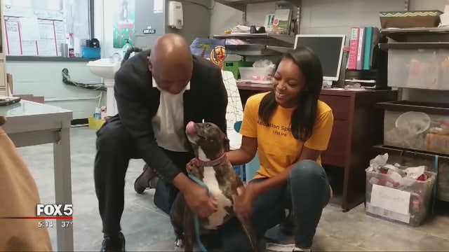 Dog, owner reunited after car theft
