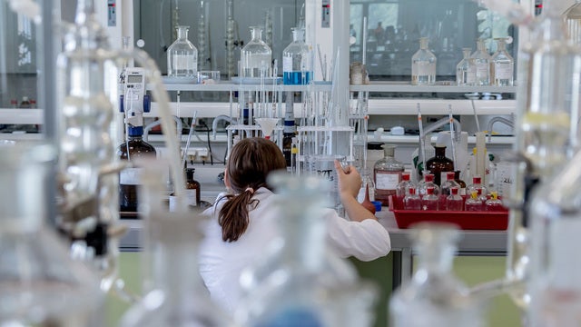 Immune therapy scores big win against lung cancer in study