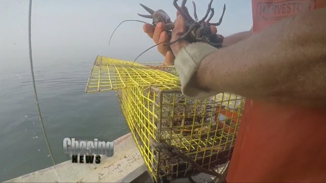 Lobstering in Long Island Sound