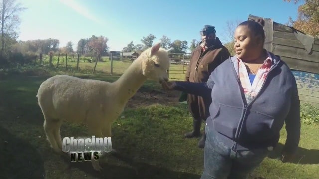 Local farm helps mentally ill find new skills