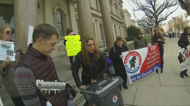 Lowering the rising population of bears in NJ