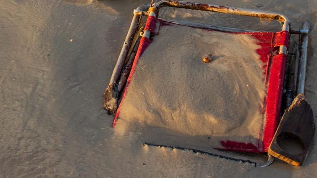Sea turtle found dead with beach chair string around neck