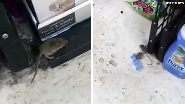 Mice invade Forman Mills in Temple Hills