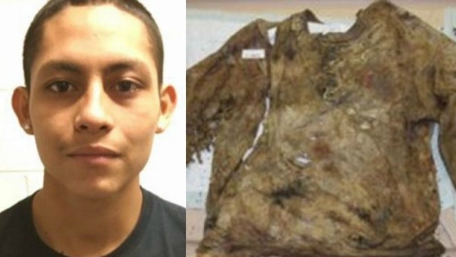 MS-13 victim was stabbed 100 times, decapitated, had heart ripped out, police say