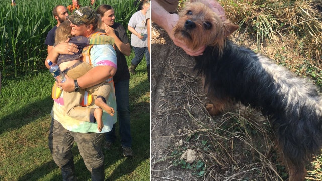 Missing 3-year-old found in cornfield with dog by her side