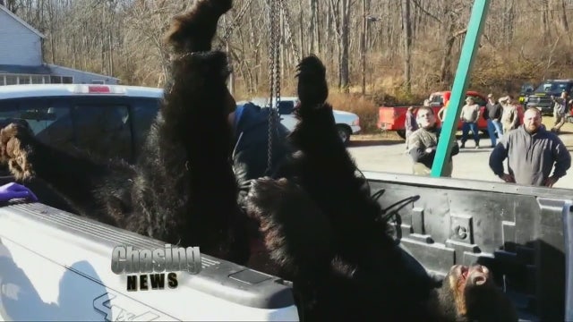 NJ bear hunt comes to an end