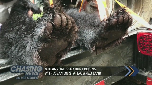NJ's annual bear hunt begins with a ban on state-owned land