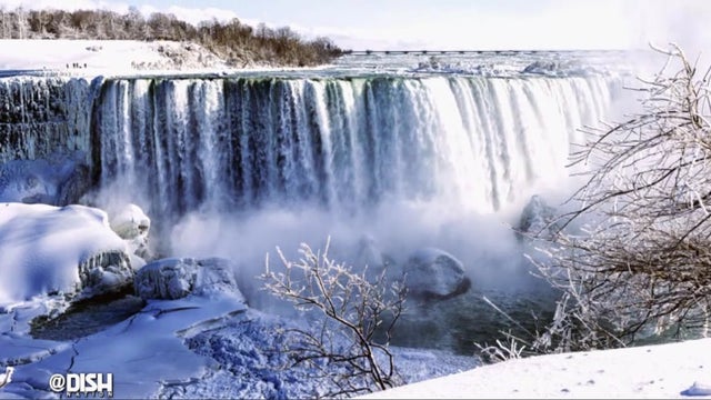Niagara Falls resident calls the police on the wind