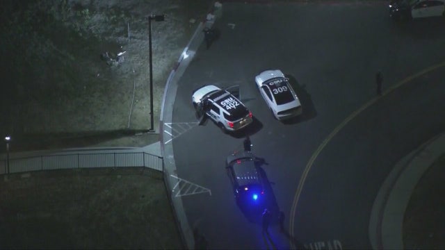 Officer fires at coyote that attacked child at Cal State LA