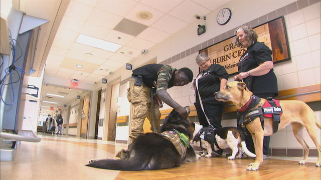 Therapy dogs help badly burned Georgia Guardsman find hope