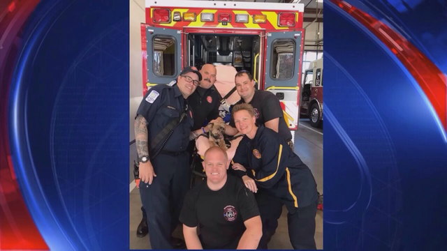 Georgia firefighters save choking dog