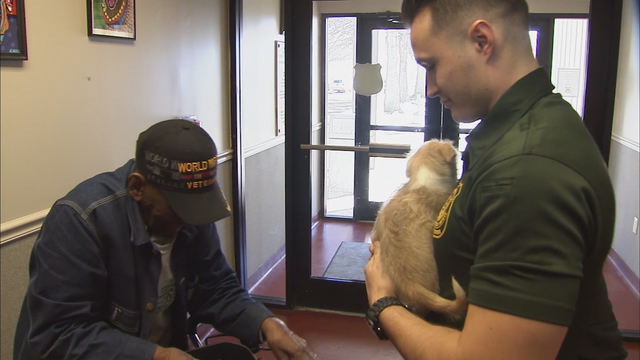 WWII Veteran gets a new friend thanks to Cobb County program