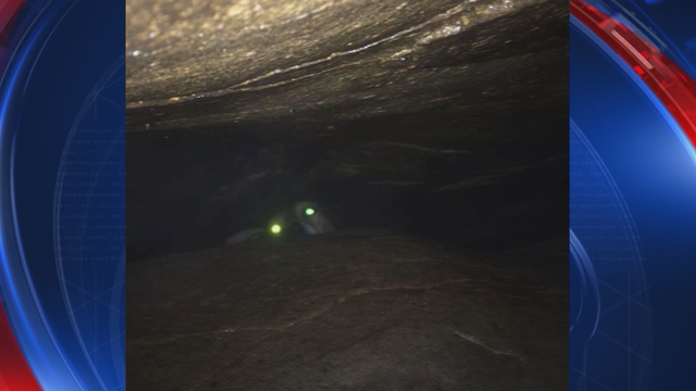 Viral post rallies community to rescue trapped dog