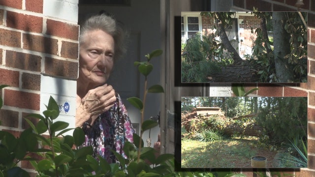 Large tree traps elderly couple inside home