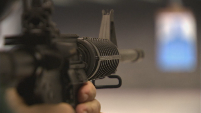 Facts about the AR-15