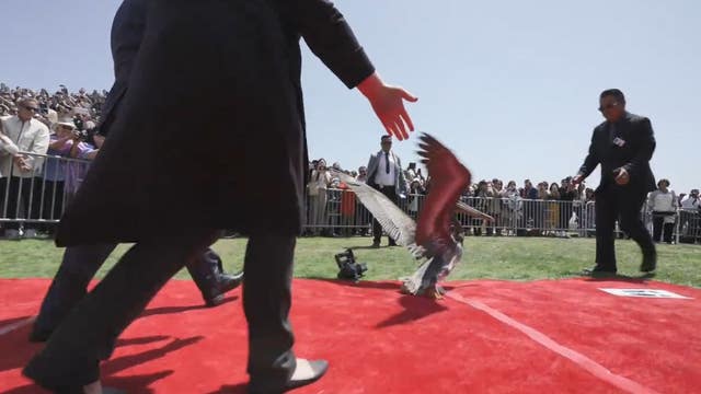 WATCH: Pelicans crash Pepperdine graduation ceremony