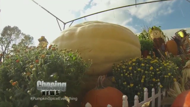 #PumpkinSpiceEverything