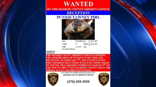 Punxsutawney Phil 'wanted' by sheriff's office for deception
