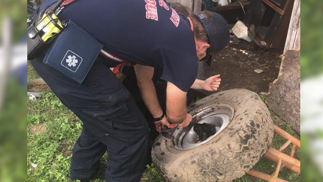 Puppy rescued from tire rim in Bastrop County