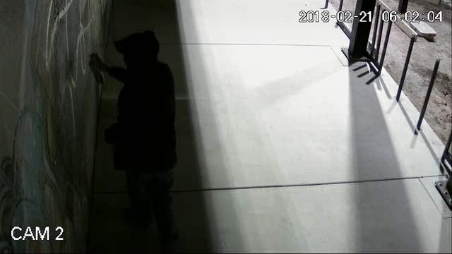 Vandalism of Downtown Phoenix mural caught on surveillance camera