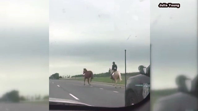 Teen rides off to stop runaway horse from busy Maryland highway (VIDEO)