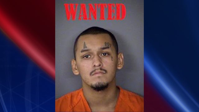 Police: Man recorded the stabbing of puppy, threatened family