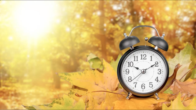 Daylight Savings Time begins at 2 a.m. Sunday