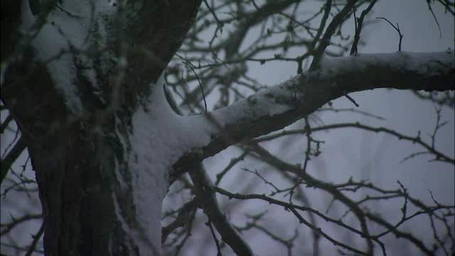 New Jersey governor: Don't blame me for storm response