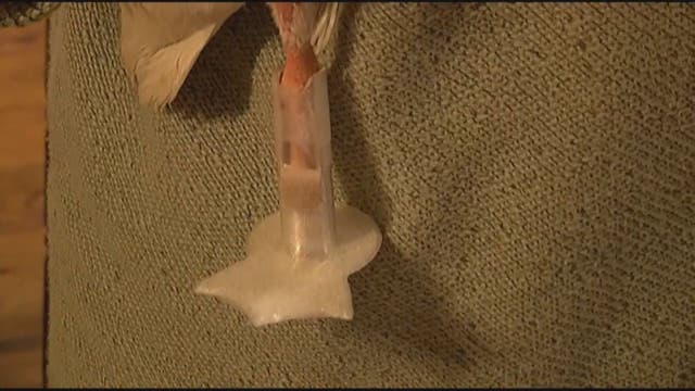 Students create 3D prosthetic foot for Peg the duck