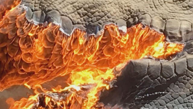 Gone extinct: Animatronic T-Rex bursts into flames