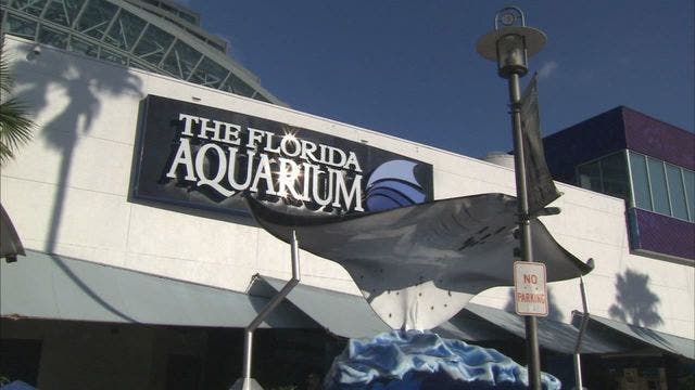 Florida Aquarium in the running to become the best in North America