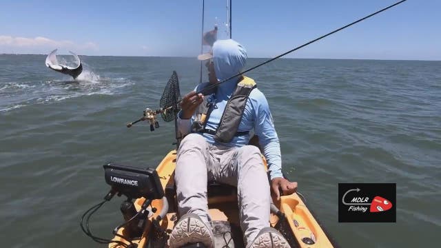 Watch: Manta ray leaps from water behind fisherman