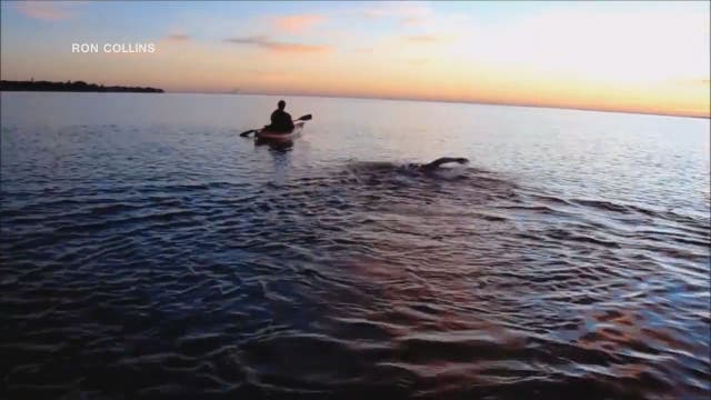 Woman spends New Year's Eve swimming across Tampa Bay