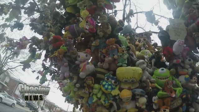 Stuffed animal tree in Brooklyn