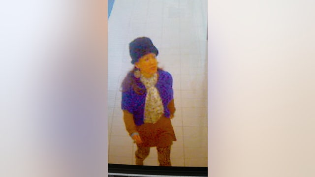 Woman tries to kidnap child at mall