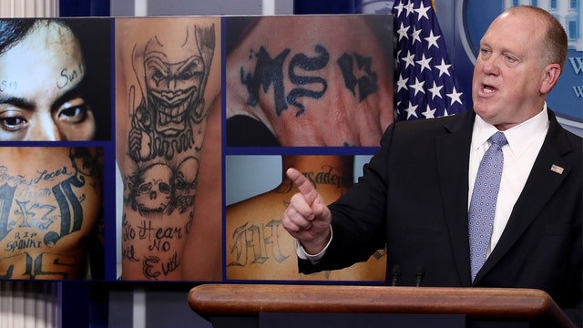 Acting director of ICE Tom Homan stepping down