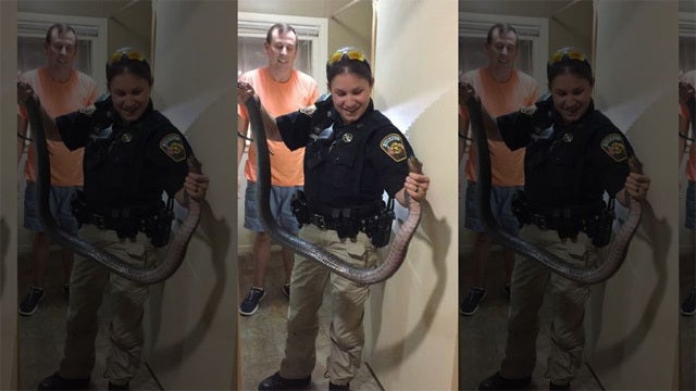 Texas deputy removes snake from bathroom of home