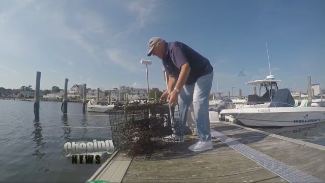 The Barnegat Bay Guardian