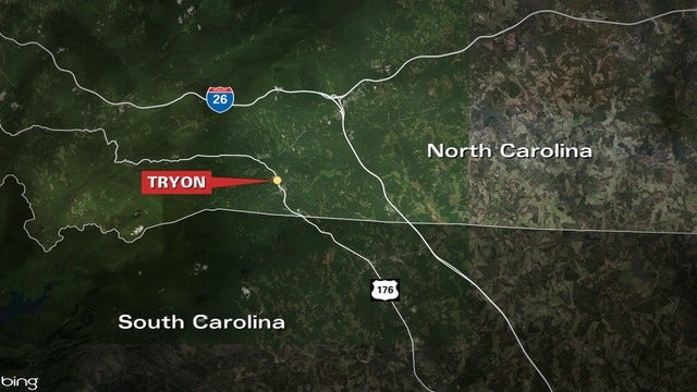 TV anchor, photojournalist killed when tree falls on vehicle