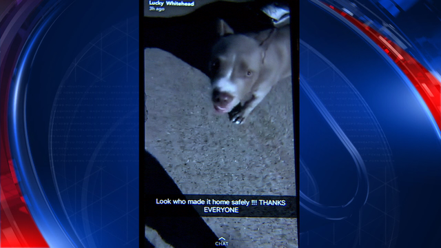 Rapper returns Cowboys WR 'Lucky' Whitehead's missing dog