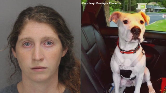 Police: Pet sitter, dog walker arrested for cruelty to animals