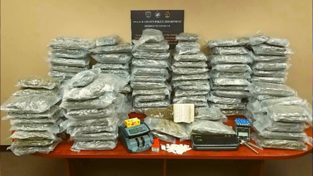 230 lbs. of marijuana seized, plants in plain view on porch