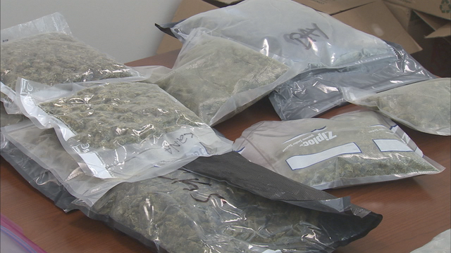 Douglas County deputies seize 50 pounds of marijuana, 3 arrested