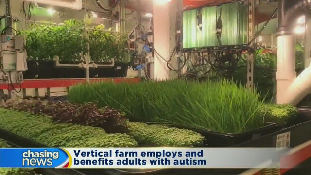 Vertical farm employs and helps adults with autism