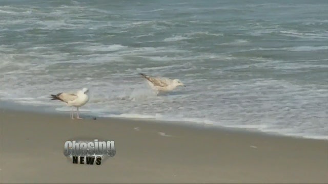 NJ State Assembly bill could grant free beach access to veterans