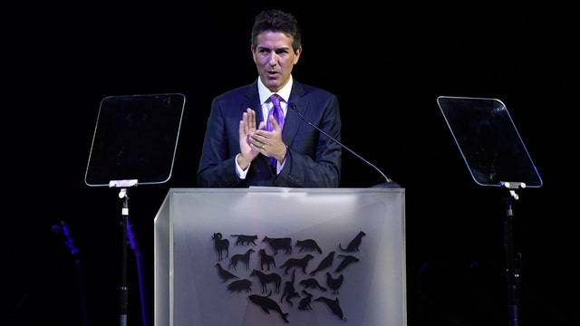 Humane Society head steps down after sexual harassment allegations