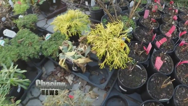 What does warm weather mean for NJ growers?