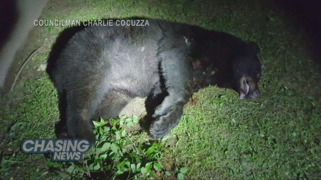 Killing of bear in Union Beach sparks protest