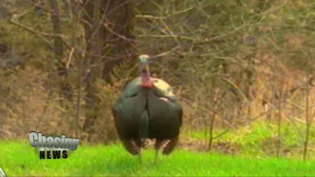 Turkey terror in New Jersey