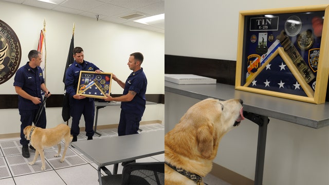 Very good boy Tin retires with honors from 8-year career with Coast Guard
